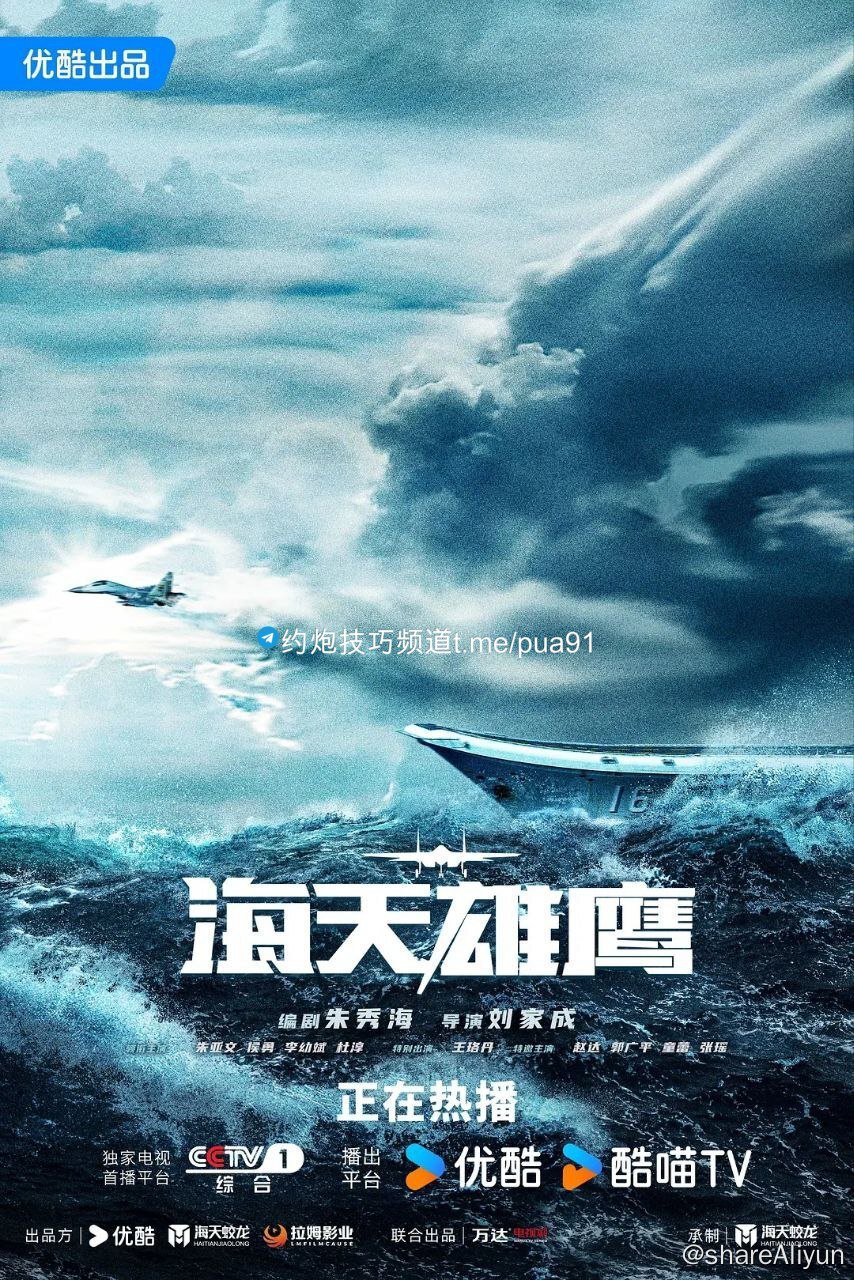 海天雄鹰 (2024)[35集全][已完结] ,