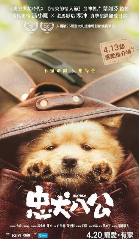 忠犬八公 (2023) 中国版 正式版 1.74G