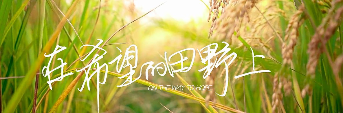 在希望的田野上.OnTheWayToHope.2021, 1.17GB