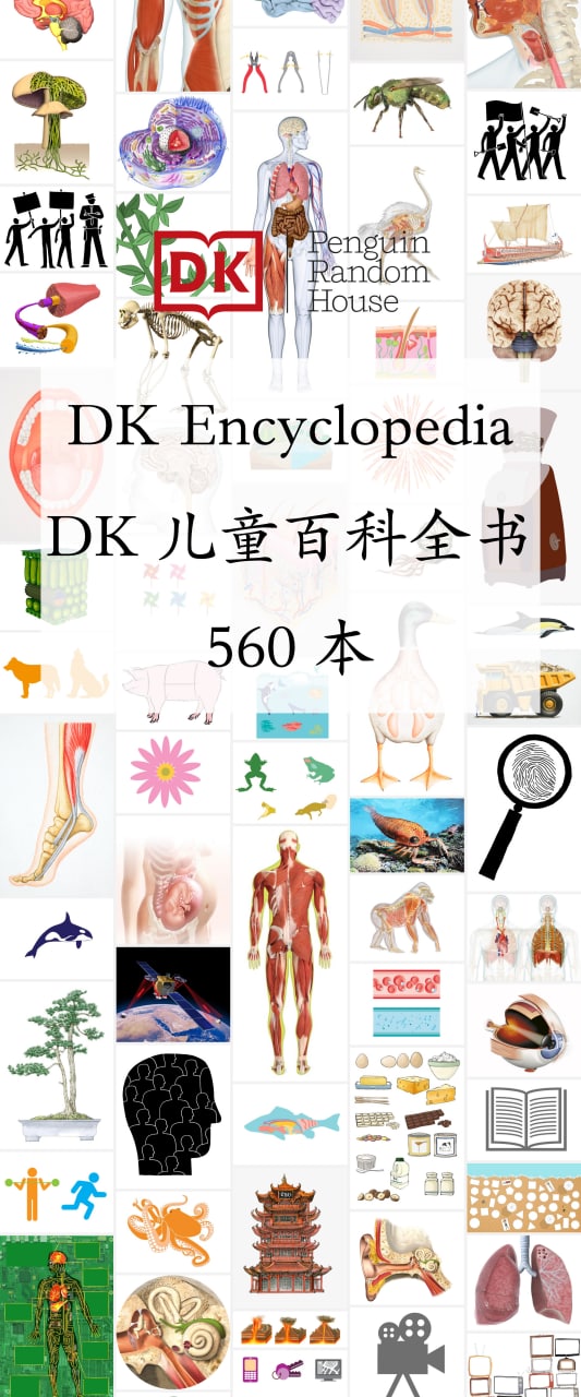 DK儿童百科全书（560本） 560本