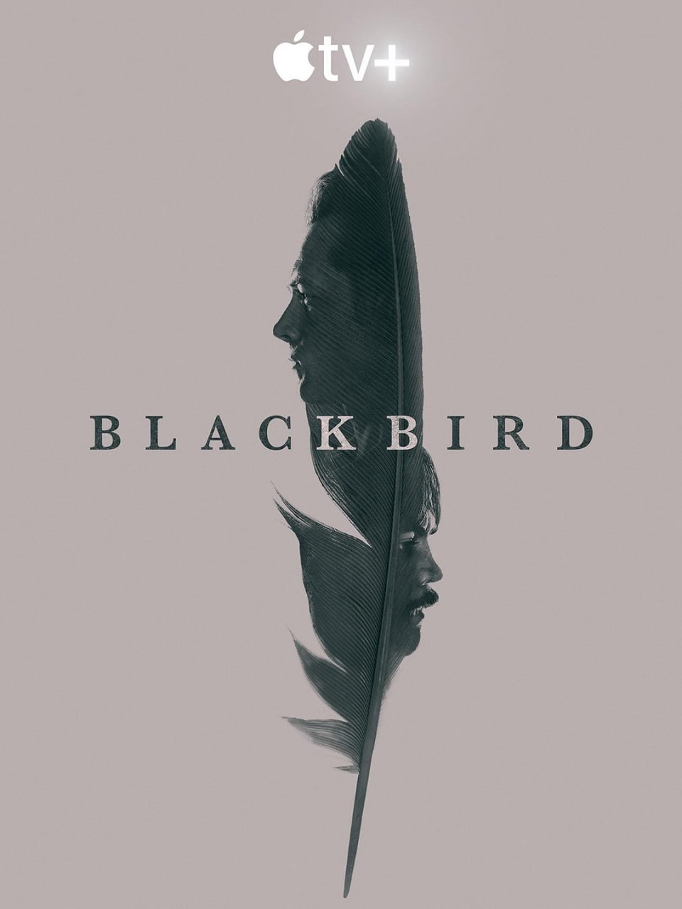 黑鸟 Black Bird 1080P 更新05 1.25G